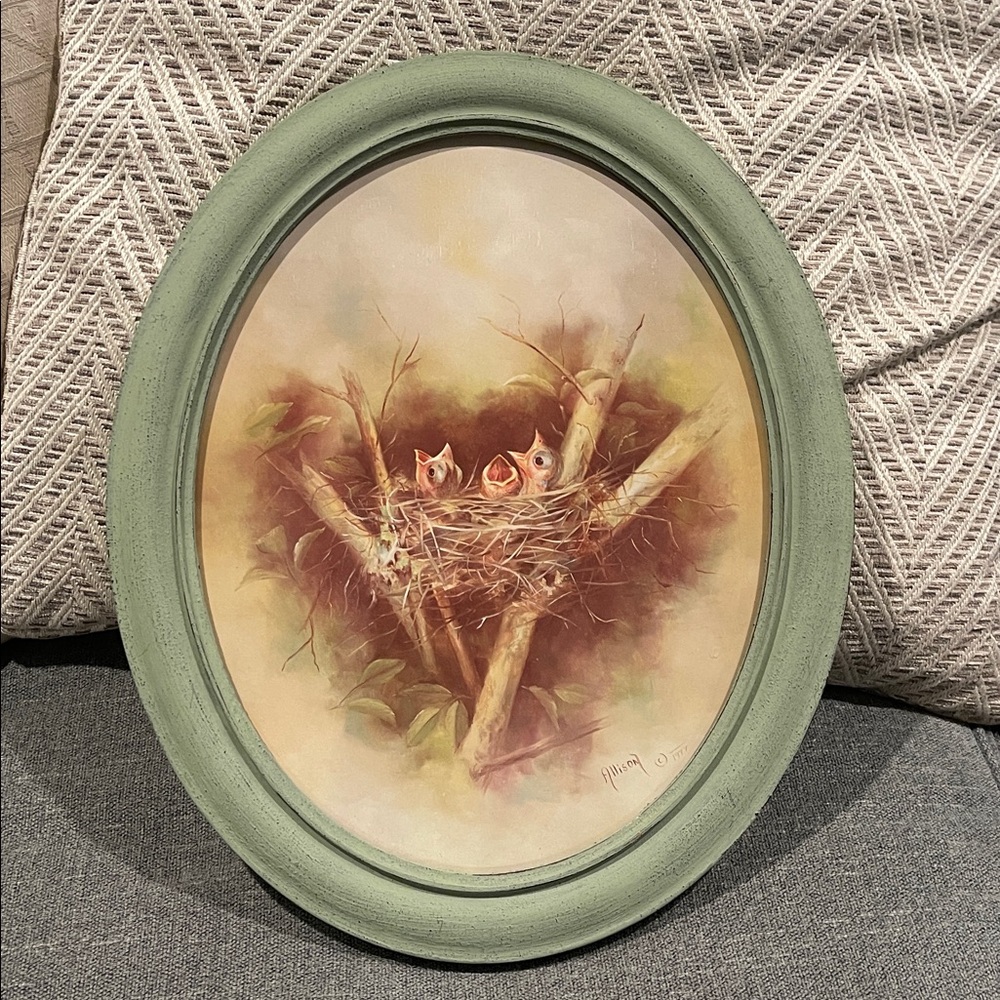Sage Green Framed Betty Allison In the Beginning Baby Bird Nest Art Print